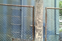 Pinesville Tank 1