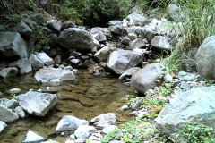 Stage 1 Dam 1