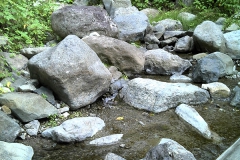 Stage1 Dam 2