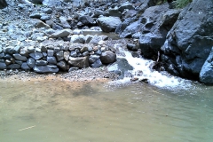 Stage 1 Dam 3
